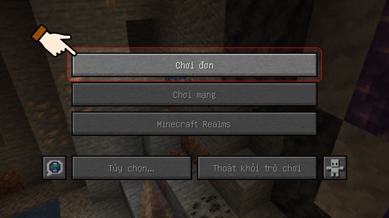 Nhấn chọn chế độ Chơi đơn (Singleplayer)