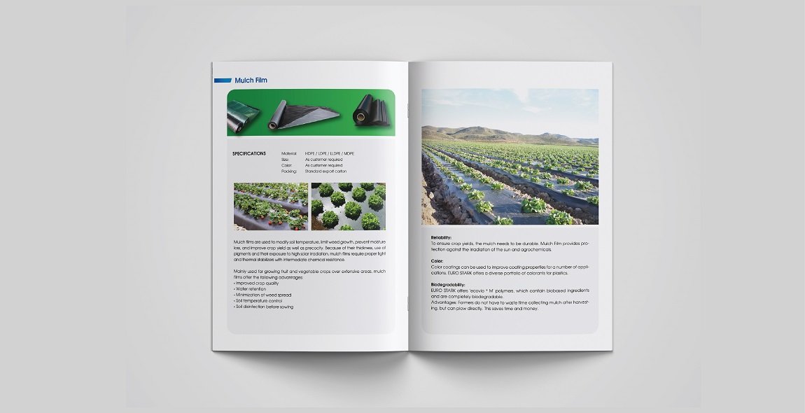 thiet-ke-catalogue