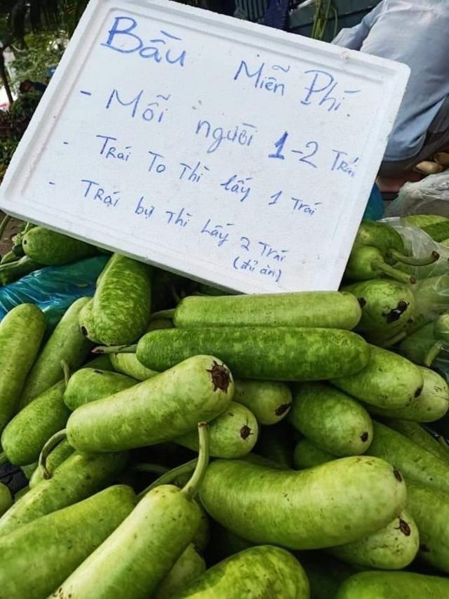 Bầu bí