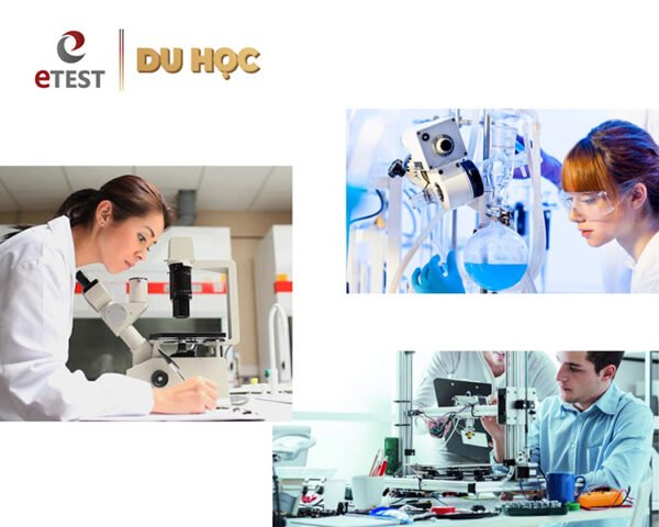 các trường đào tạo chuyên ngành lại thường đi sâu hơn vào việc giảng dạy những lĩnh vực cụ thể,