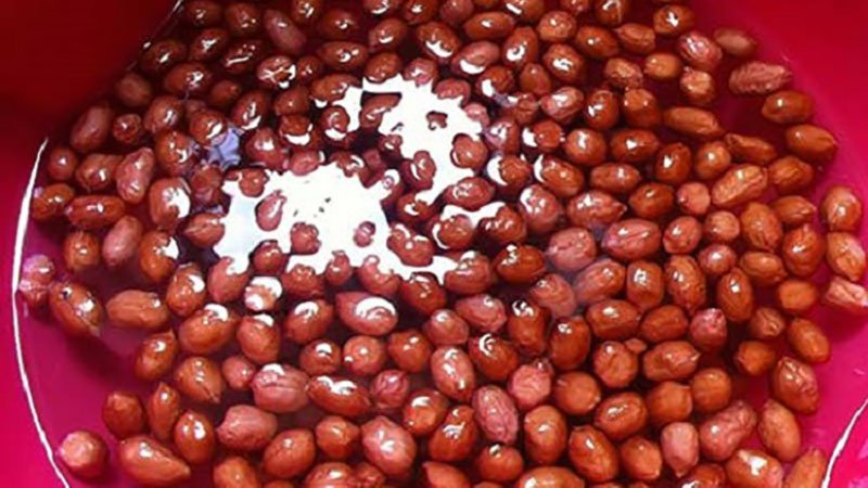 Sơ chế nguyên liệu Sơ chế nguyên liệu
