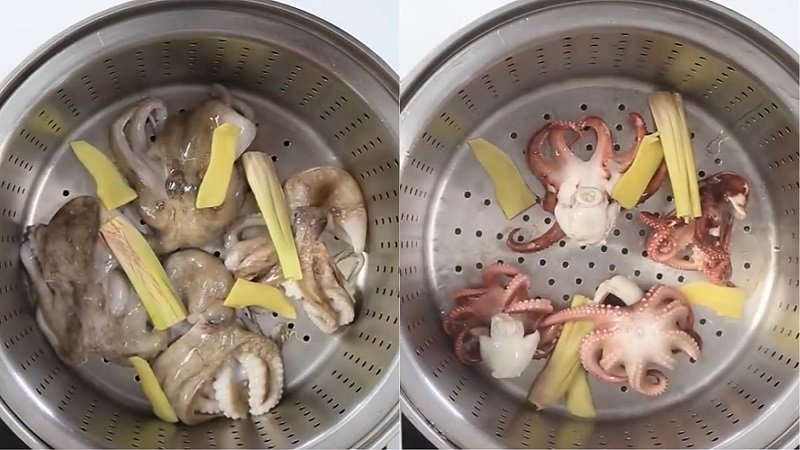 Hấp bạch tuộc Hấp bạch tuộc