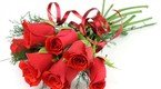 Ngày phụ nữ Việt Nam 20/10