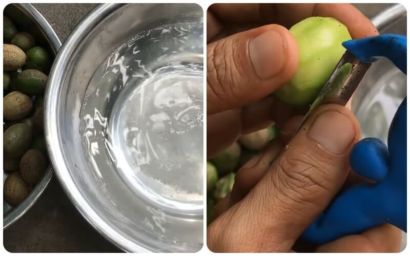 Sơ chế quả cóc Sơ chế quả cóc