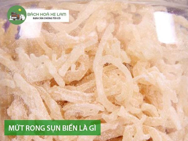 Má»©t rong sá»¥n biá»ƒn lÃ  gÃ¬