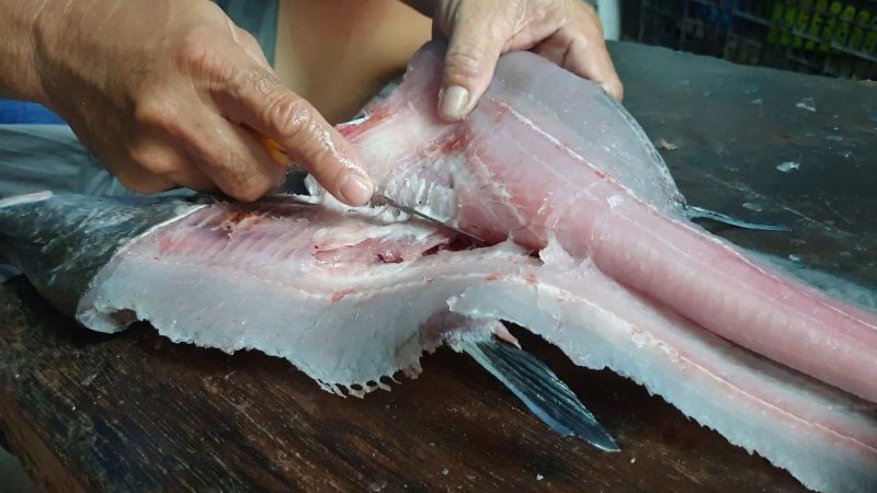 Cắt cá