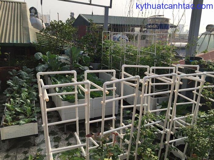 7 cách làm giàn cà chua đơn giản - kythuatcanhtac.com
