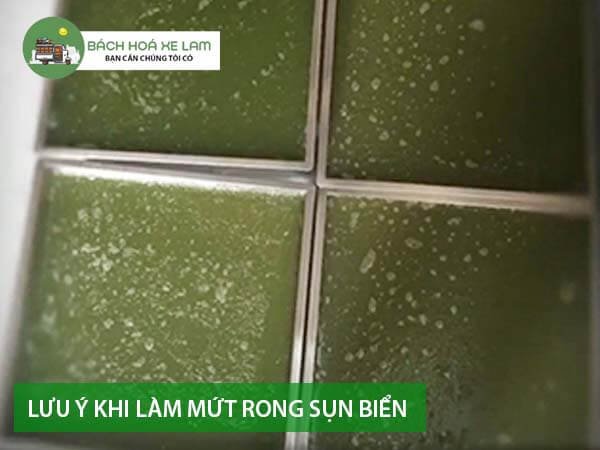 LÆ°u Ã½ khi lÃ m má»©t rong sá»¥n biá»ƒn