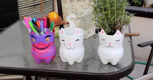 cách làm hộp đựng bút hình thú bằng chai nhựa 4