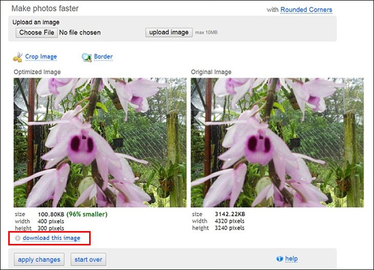 Click Download this image để tải ảnh