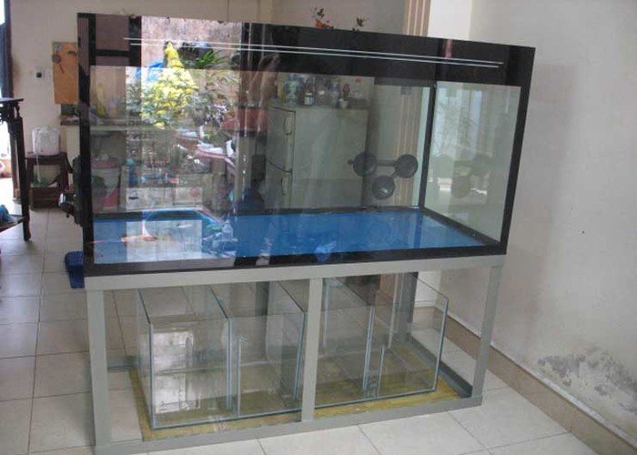 bể cá nd