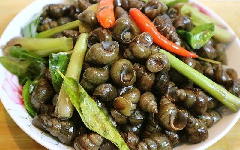Lưu ý khi chế biến ốc