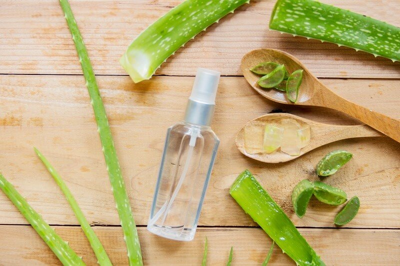 cách làm xịt khoáng nha đam
