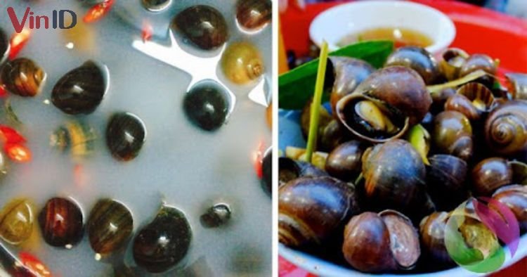 Luộc ốc trước khi sơ chế để loại bỏ nhớt và mùi hôi