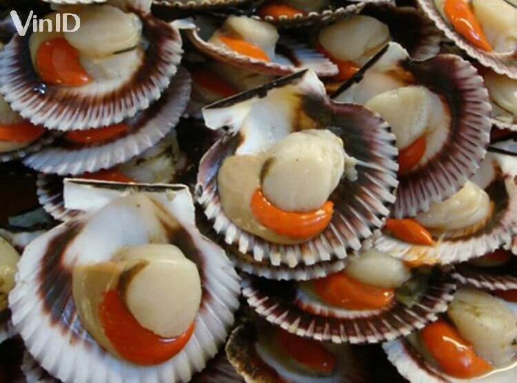 Sò điệp tươi ngon làm món sò điệp nướng mỡ hành Sò điệp tươi ngon làm món sò điệp nướng mỡ hành