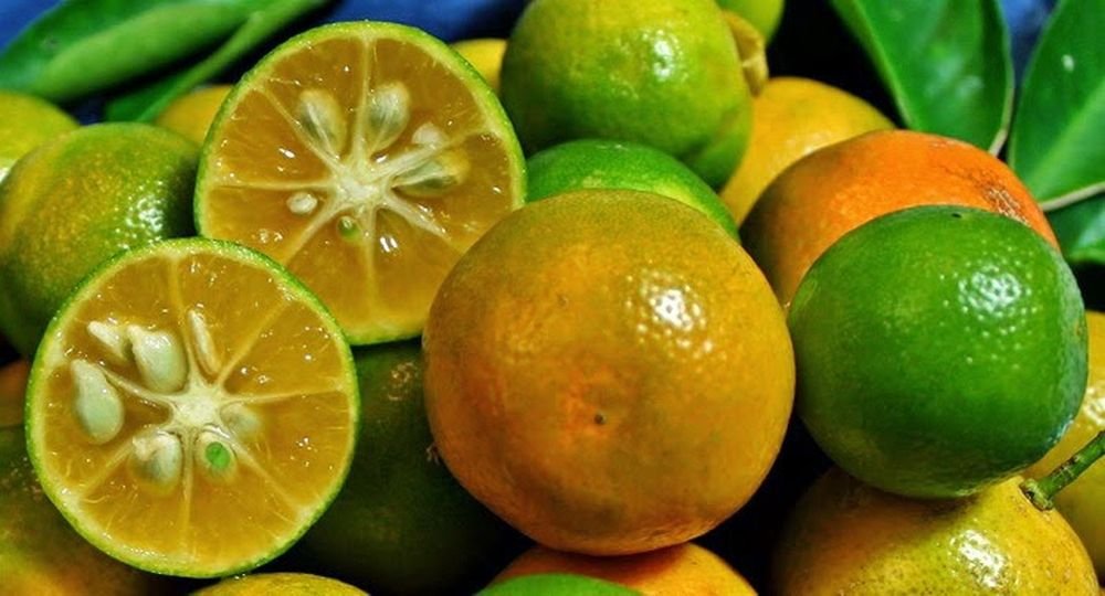 Cách làm nước cốt chanh- Cách làm nước cốt tắc