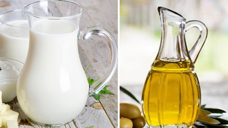 Sữa tươi cùng dầu oliu