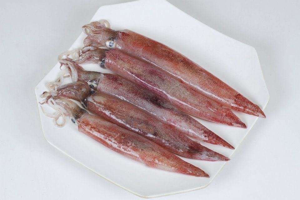 cách bảo quản mực trứng
