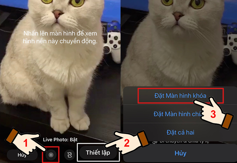 Bật tab Live Photo và thiết lập hình nền