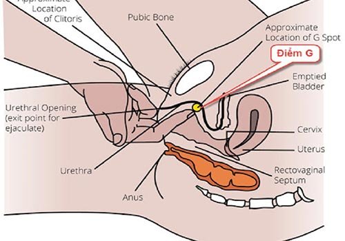 8 Cách làm cô be ra nhiều nước Webtretho chia sẻ - Hẻm Radio