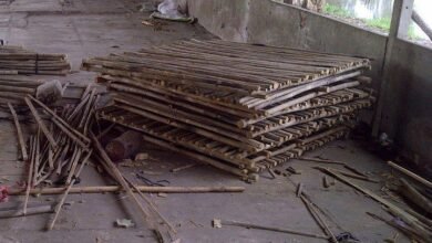 Cách làm chuồng gà bằng tre. Kỹ thuật làm chuồng gà bằng tre đơn giản - kythuatcanhtac.com