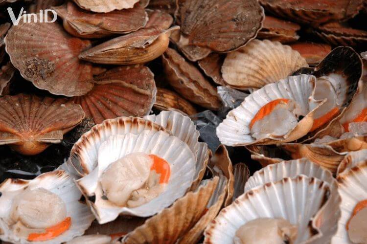 Sơ chế tách vỏ sò điệp Sơ chế tách vỏ sò điệp