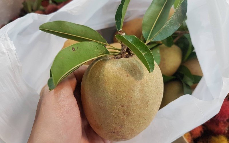 Cách ủ hồng xiêm thùng giấy