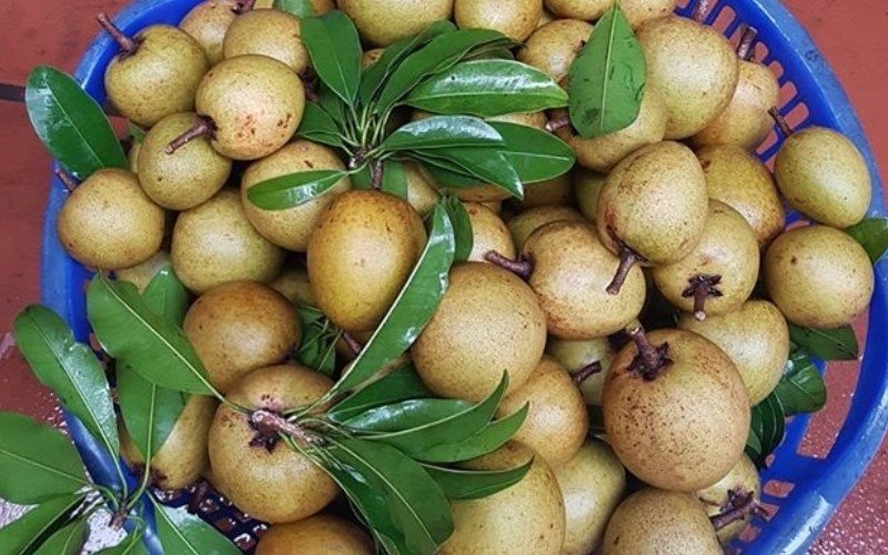 Cách dấm hồng xiêm vào mùa hè 