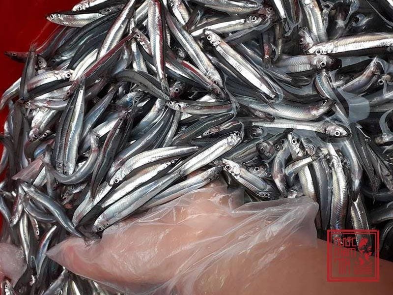 làm nước mắm cá cơm truyền thống tại nhà