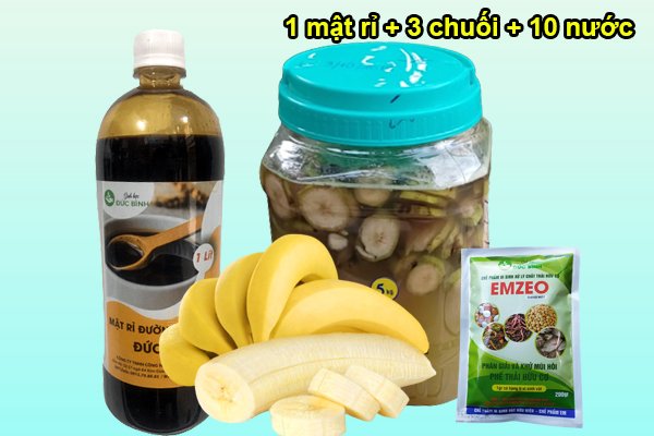 Cách làm GE chuối tưới cây đơn giản, dễ thực hiện