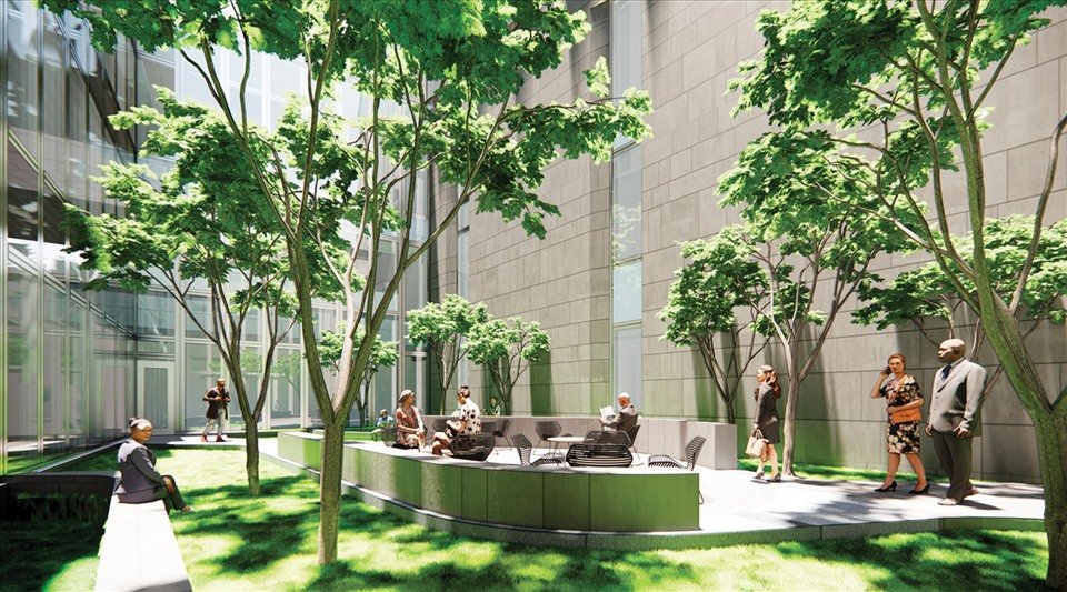Những khoảng sân được đặt ở vị trí chiến lược mang đến những giây phút kết nối và thư giãn cho nhân viên đại sứ quán, đồng thời cho phép ánh sáng vào không gian văn phòng xung quanh.