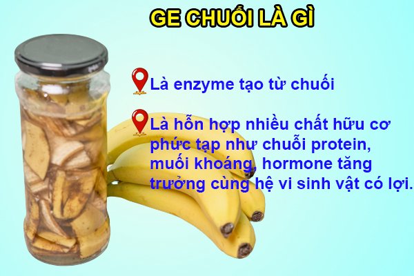 GE chuối là gì? Là enzyme chuối