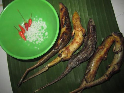 cách làm thịt rắn mối