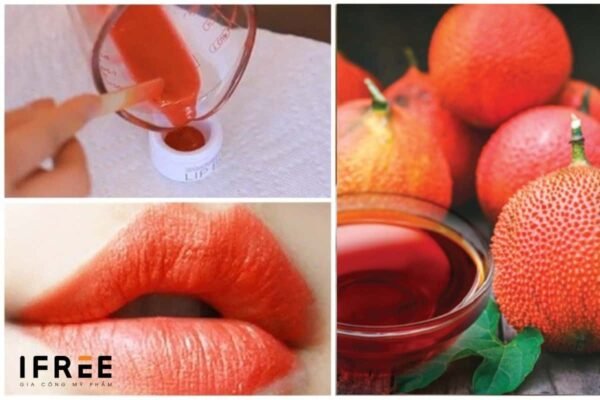 Hướng dẫn cách làm son môi từ quả gấc