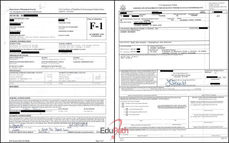 Mẫu đơn I 20 cho visa F1 và DS 2019 cho visa J1 - Du học EduPath