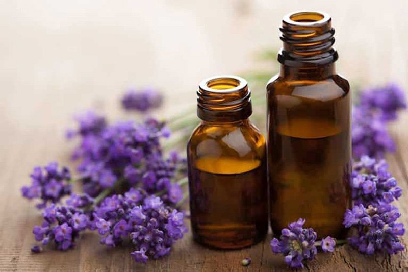 Tinh dầu hoa oải hương có thể giúp lông vùng kín mềm, mượt hơn