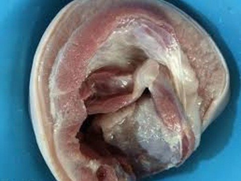 cách làm thịt ba chỉ cuộn hấp