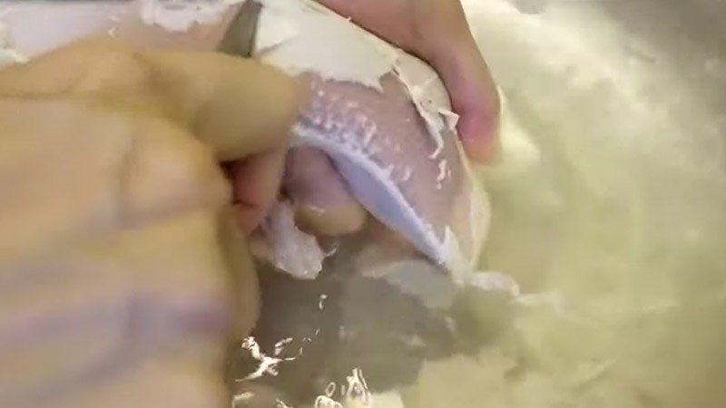 Cạo sạch màng trắng trên lưỡi heo 