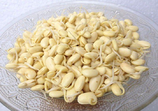 cách làm bột đậu nành