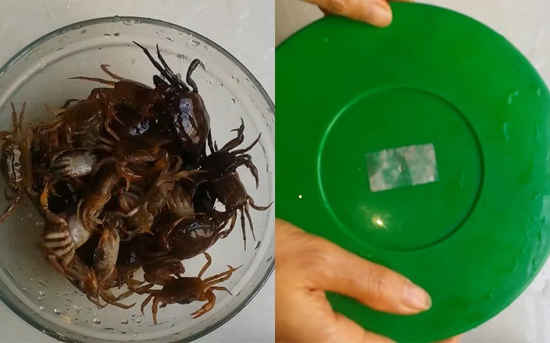 Hình nguyên liệu giữ lạnh cua ở ngăn đông