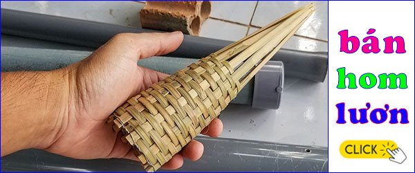 bán hom trúm lươn