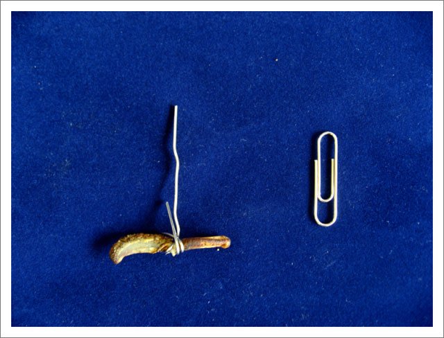 bẫy chuột bằng chai nhựa 08