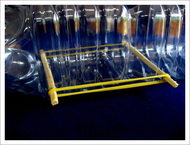 bẫy chuột bằng chai nhựa 11