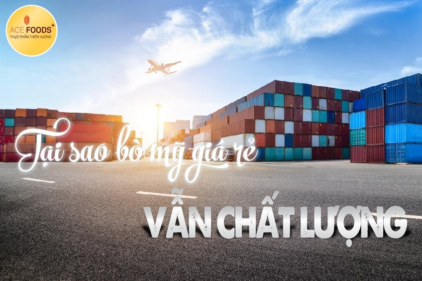 Bò Mỹ giá rẻ vẫn chất lượng - có hay không?