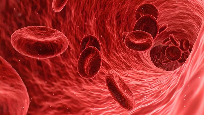 Giảm nồng độ cholesterol Giảm nồng độ cholesterol