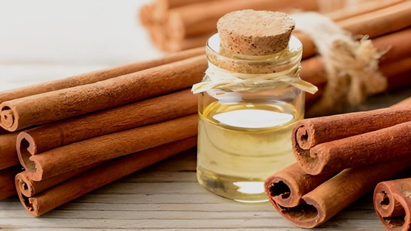 Những lưu ý khi dùng tinh dầu quế Những lưu ý khi dùng tinh dầu quế