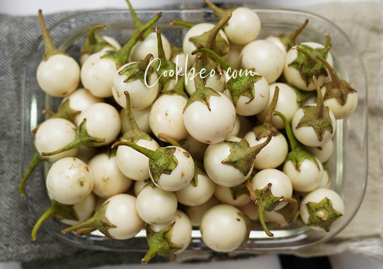 Cà pháo trắng