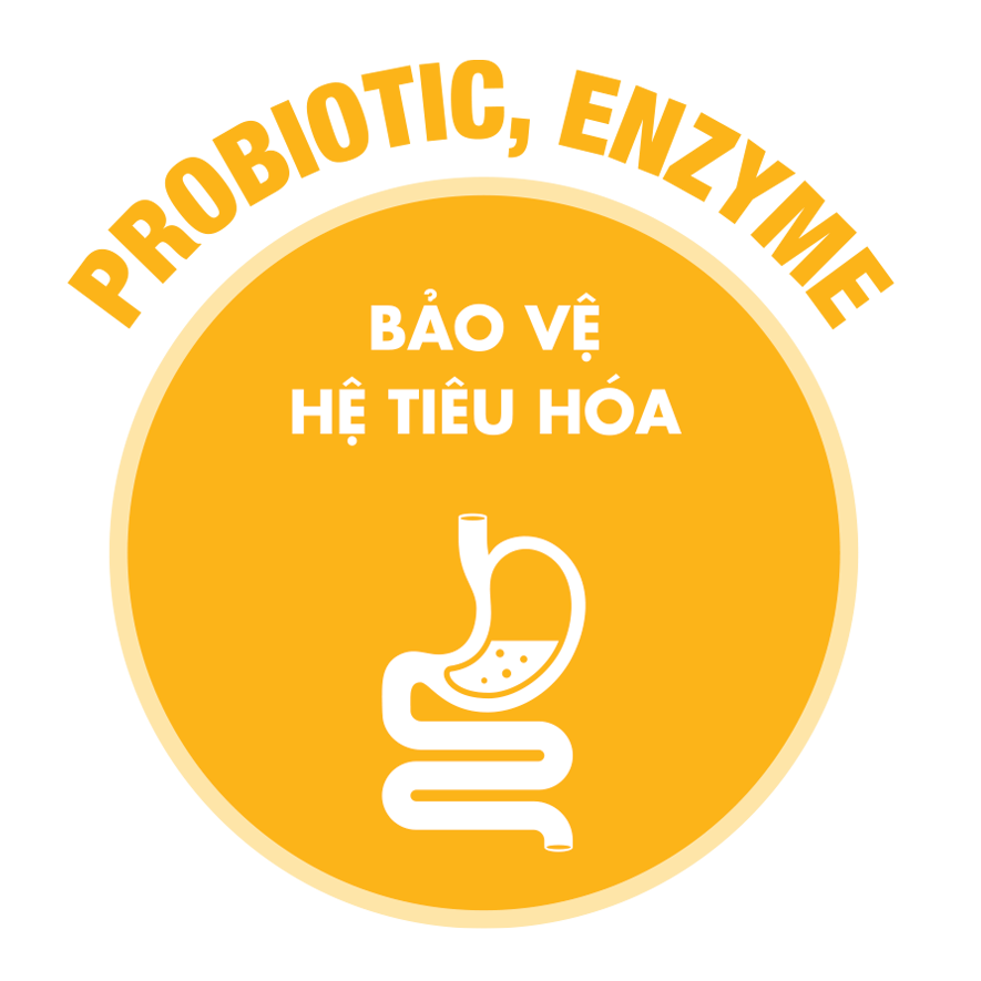 ca phe arabica kombucha 1
