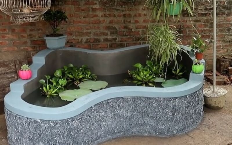 tự làm bể cá cảnh