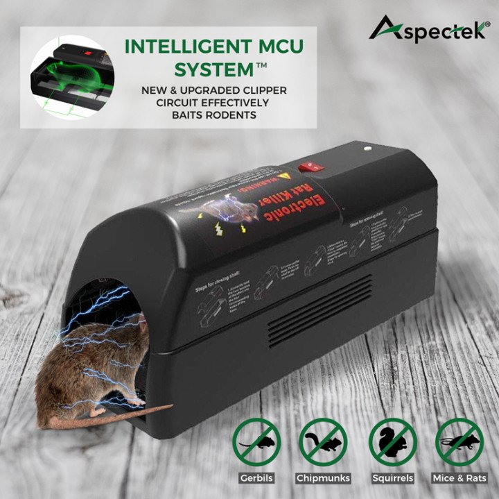 cách bẫy chuột bằng điện